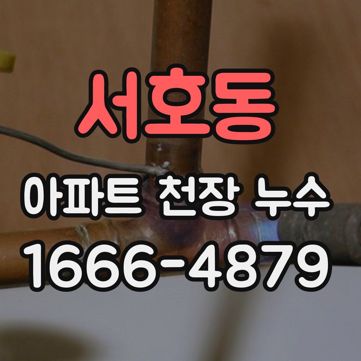 서호동 아파트 천장 누수