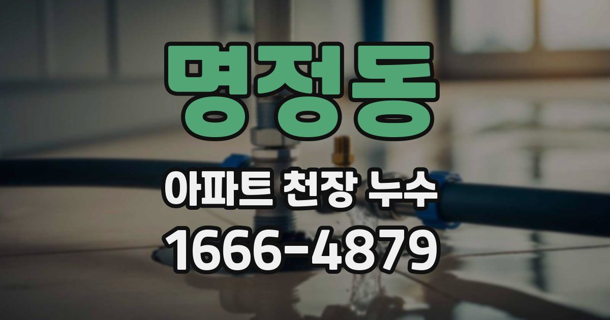 명정동 아파트 천장 누수