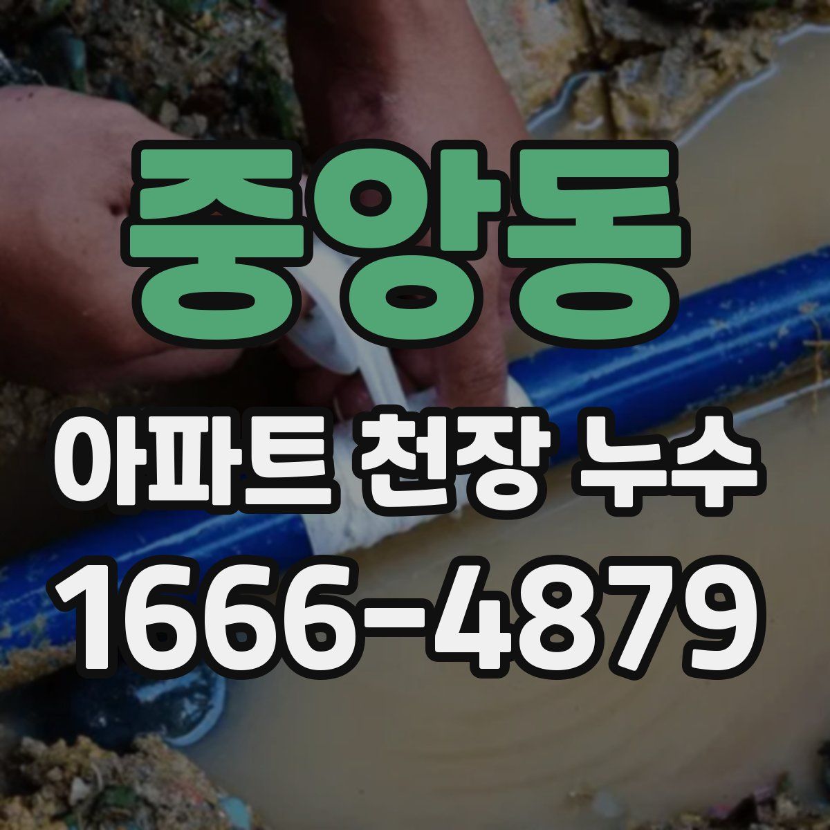 중앙동 아파트 천장 누수