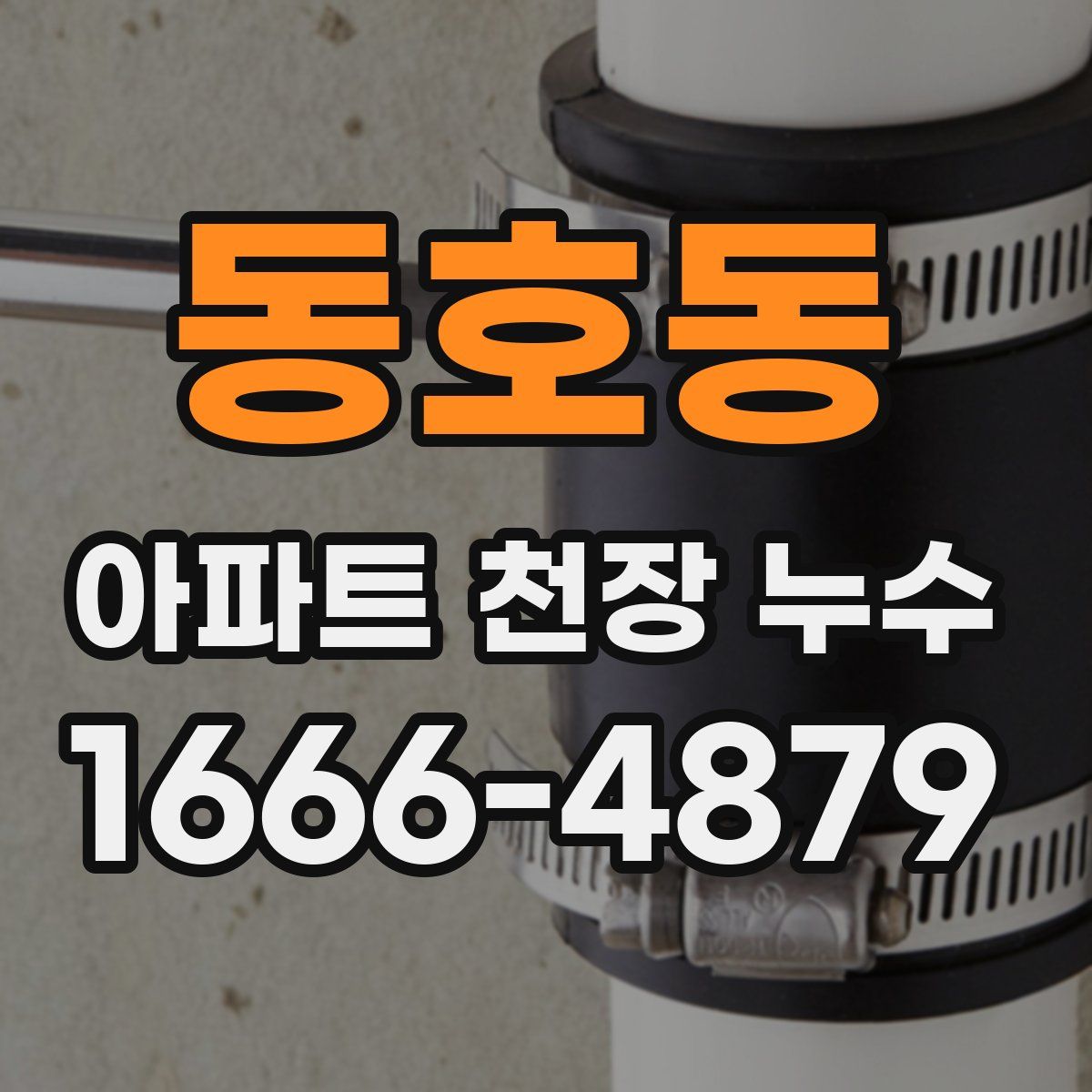 동호동 아파트 천장 누수