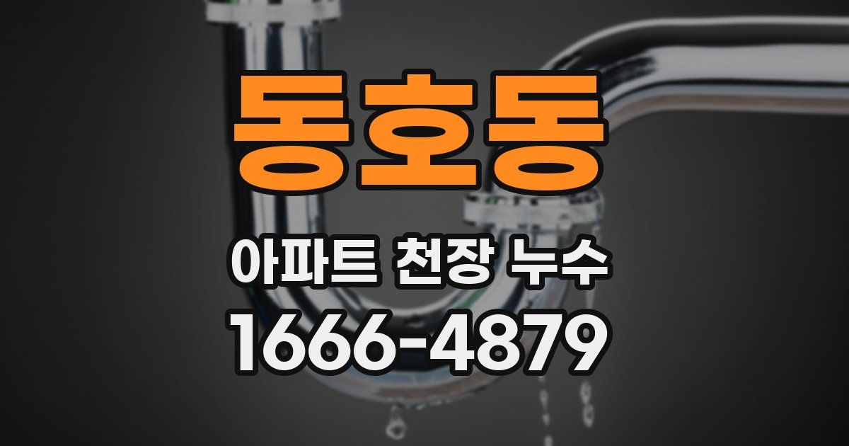 동호동 아파트 천장 누수