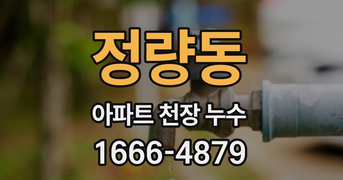 정량동 아파트 천장 누수