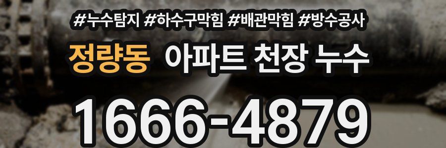 정량동 아파트 천장 누수