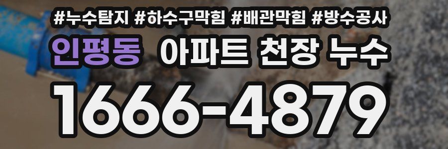 인평동 아파트 천장 누수