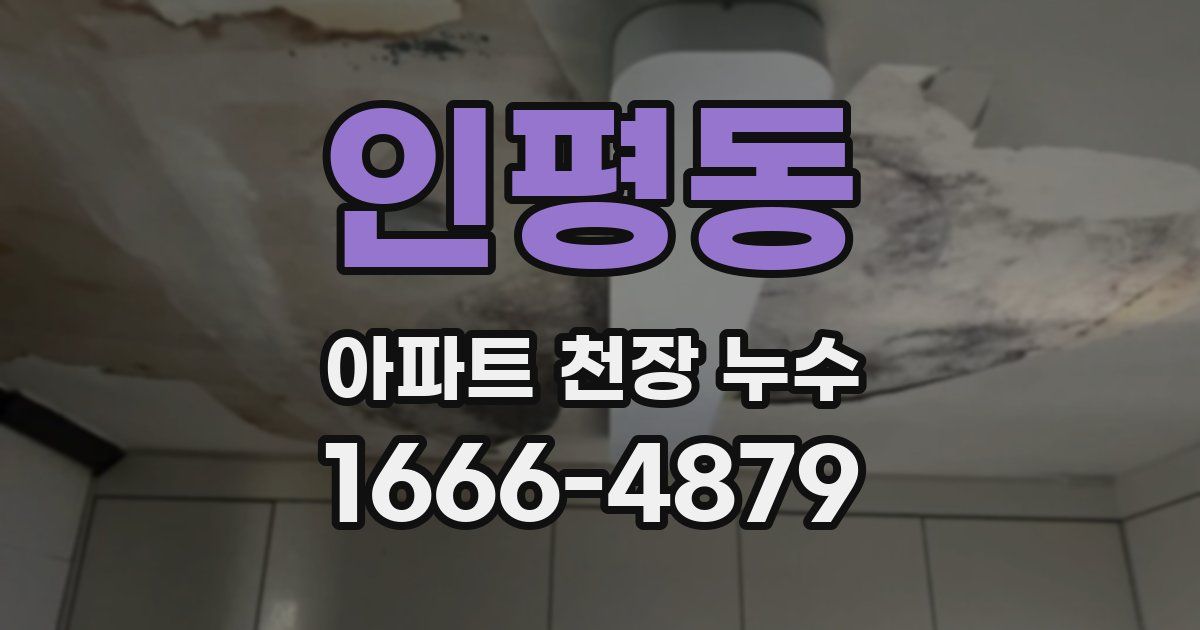 인평동 아파트 천장 누수
