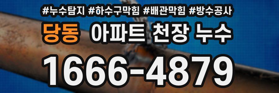 당동 아파트 천장 누수