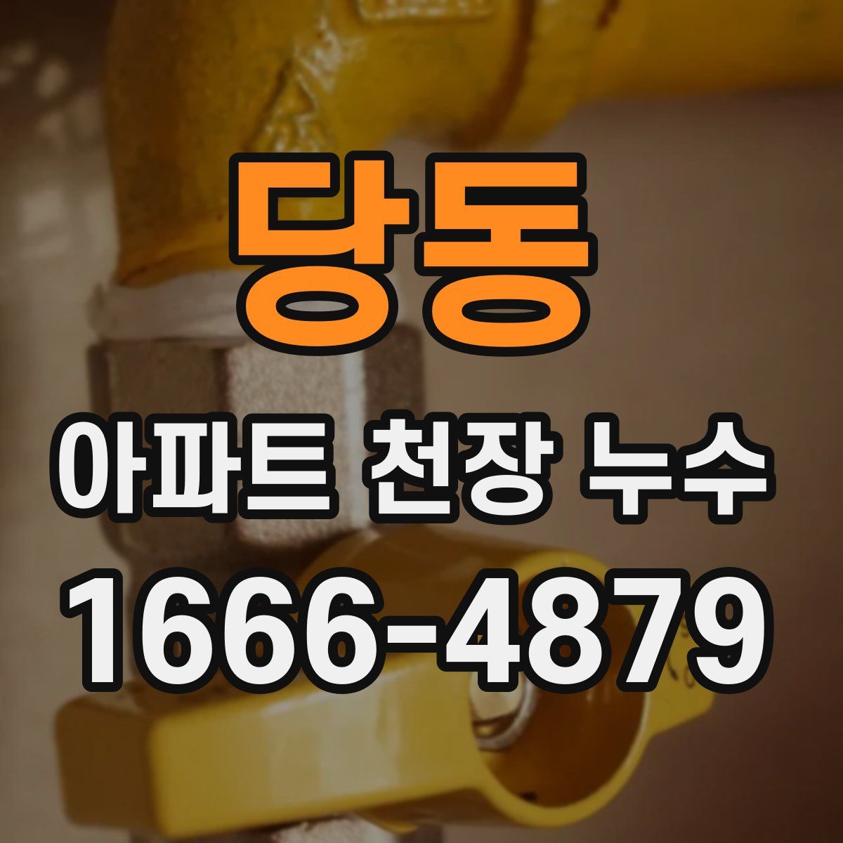 당동 아파트 천장 누수