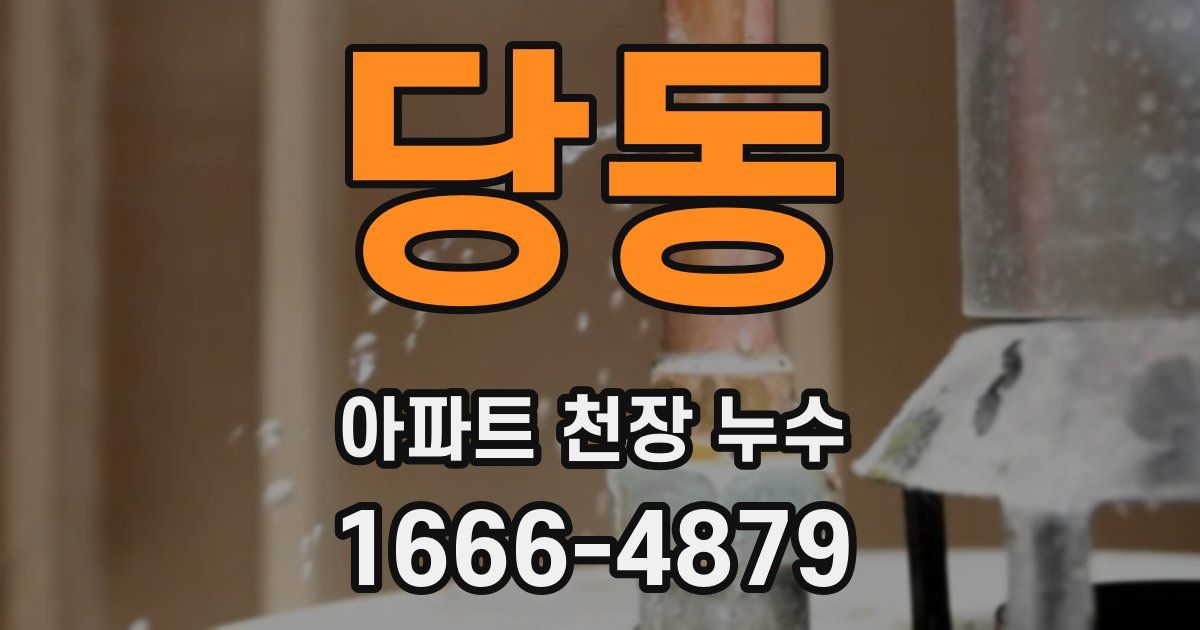 당동 아파트 천장 누수