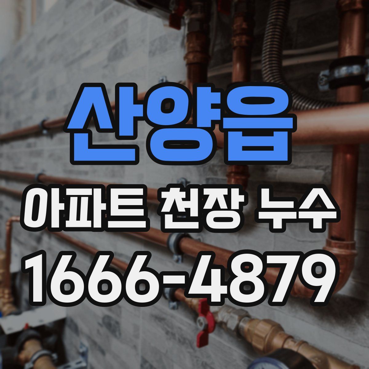 산양읍 아파트 천장 누수
