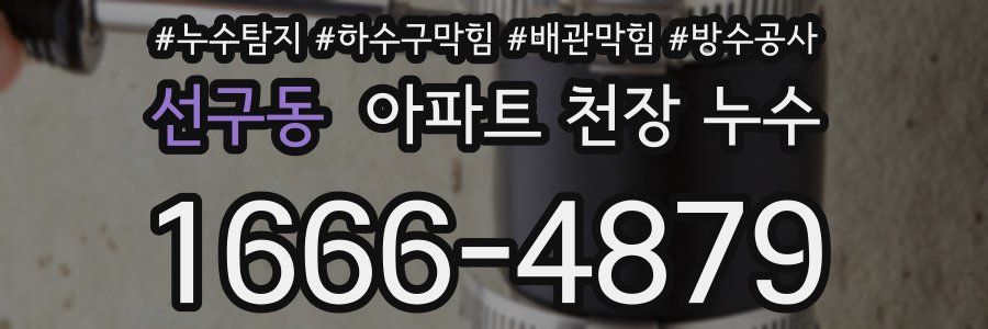 선구동 아파트 천장 누수