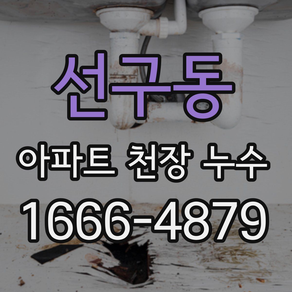 선구동 아파트 천장 누수