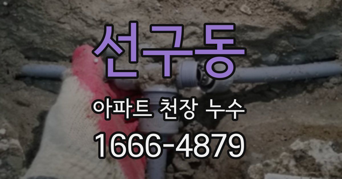 선구동 아파트 천장 누수