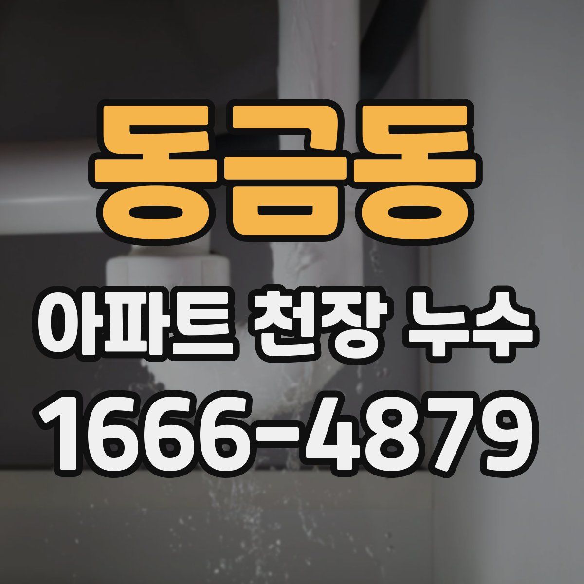 동금동 아파트 천장 누수