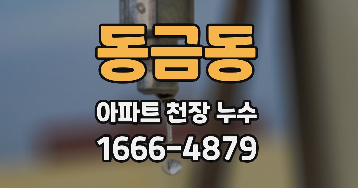 동금동 아파트 천장 누수
