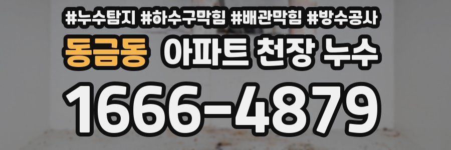 동금동 아파트 천장 누수