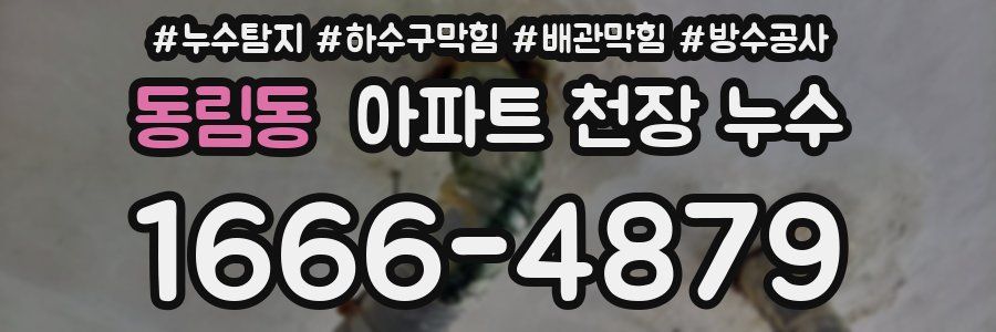 동림동 아파트 천장 누수