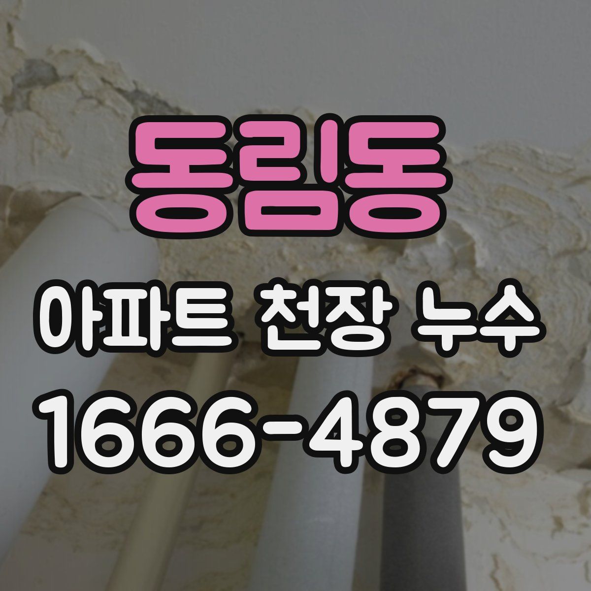동림동 아파트 천장 누수