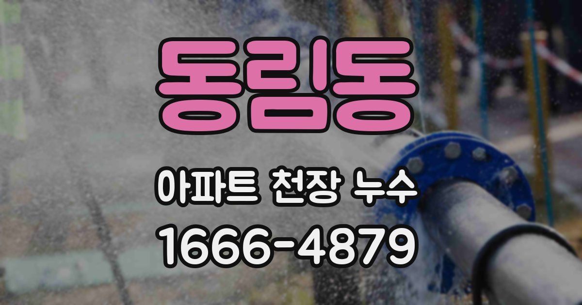 동림동 아파트 천장 누수