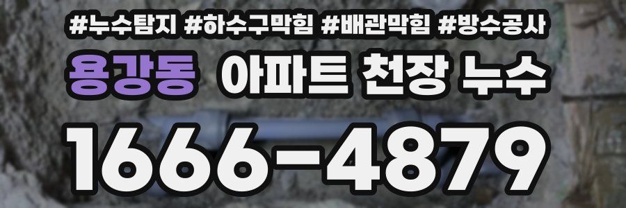 용강동 아파트 천장 누수