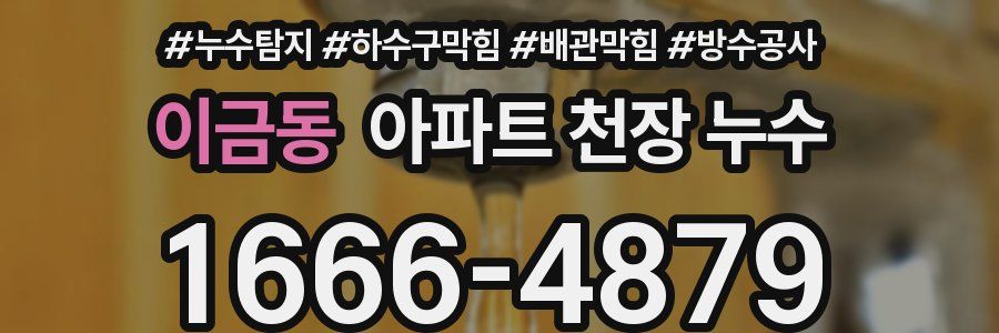 이금동 아파트 천장 누수
