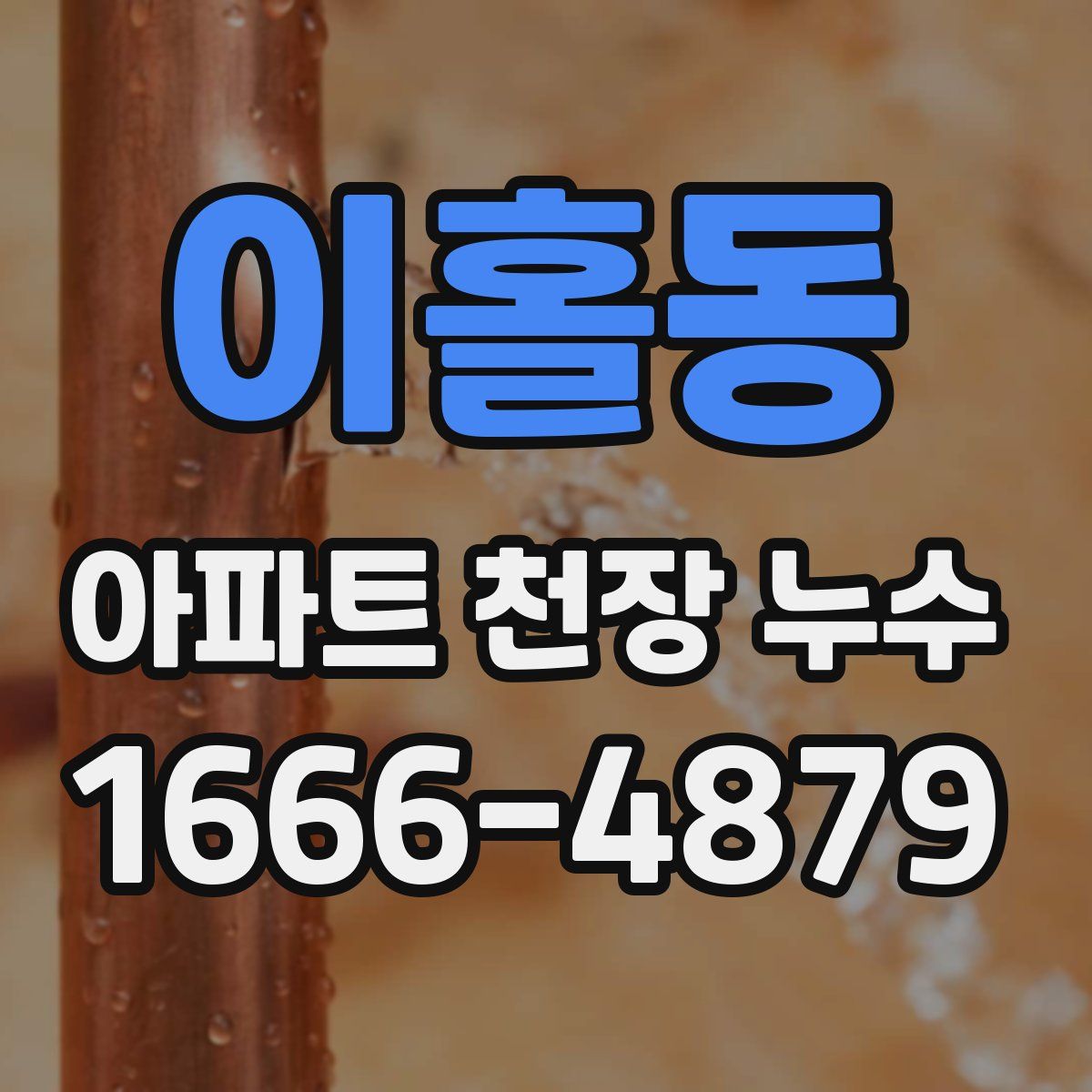 이홀동 아파트 천장 누수
