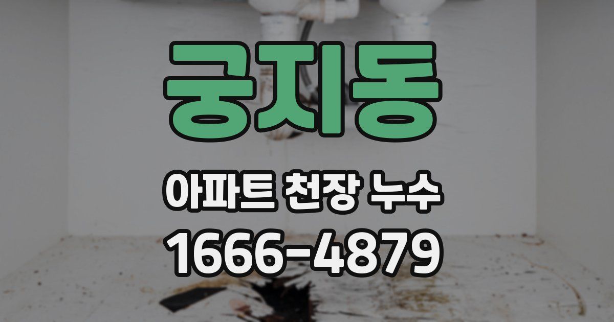 궁지동 아파트 천장 누수