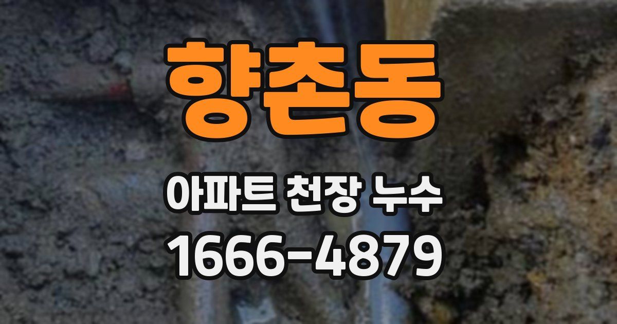 향촌동 아파트 천장 누수