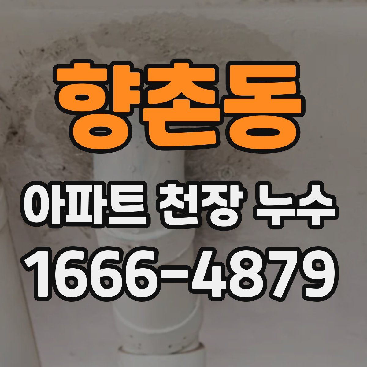 향촌동 아파트 천장 누수