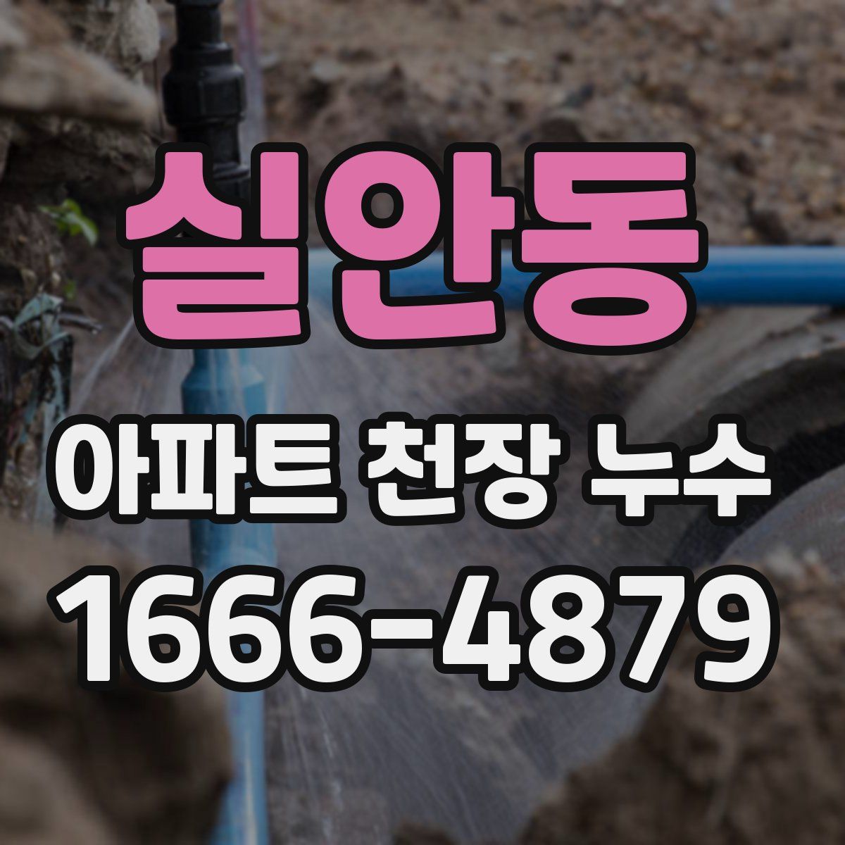 실안동 아파트 천장 누수