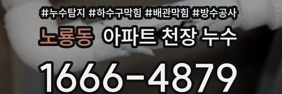 노룡동 아파트 천장 누수