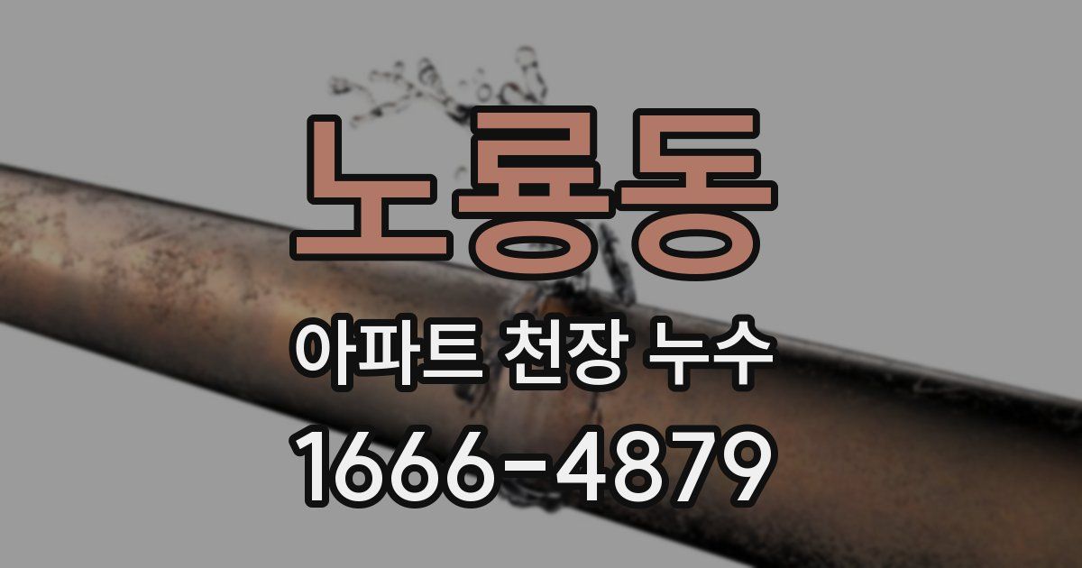 노룡동 아파트 천장 누수