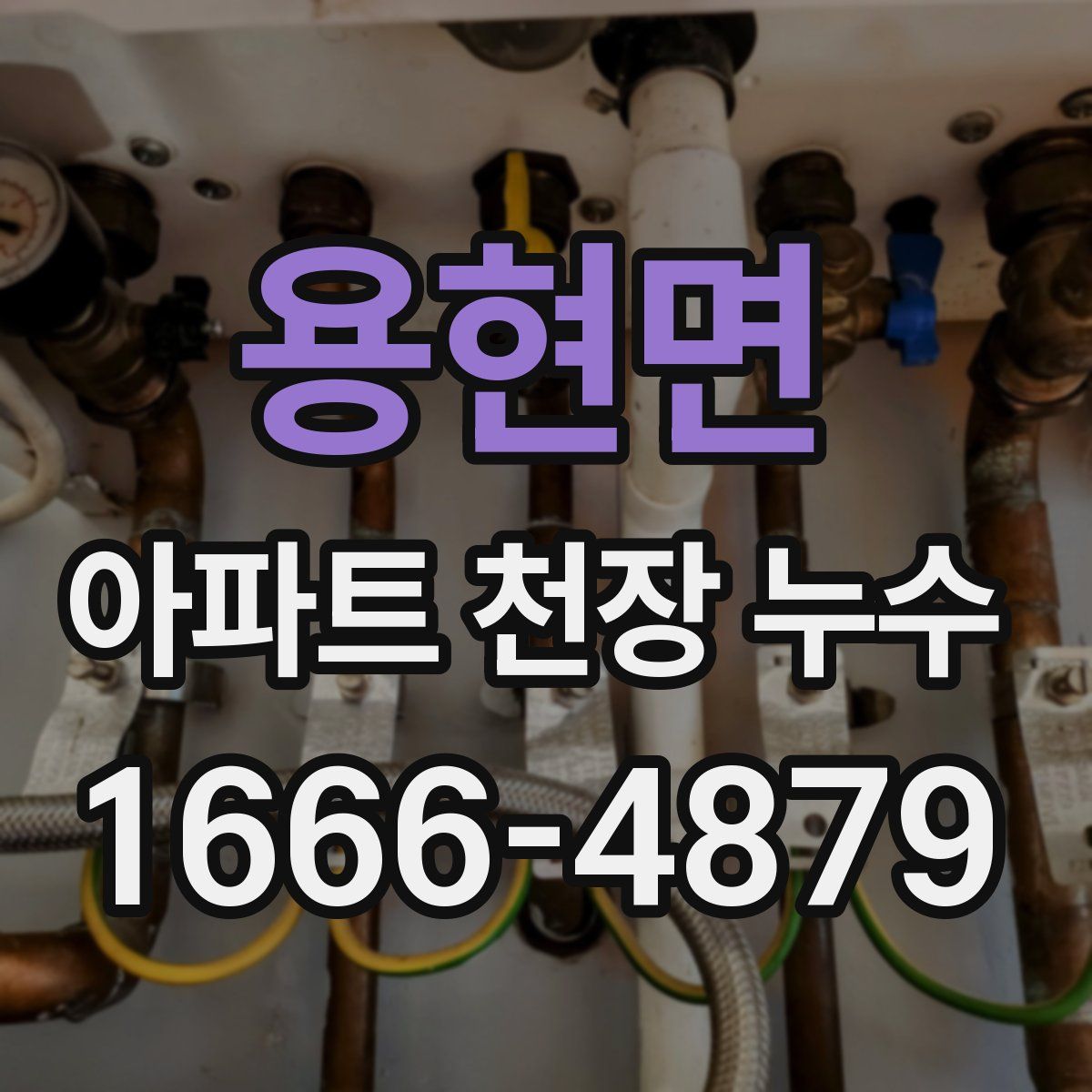용현면 아파트 천장 누수
