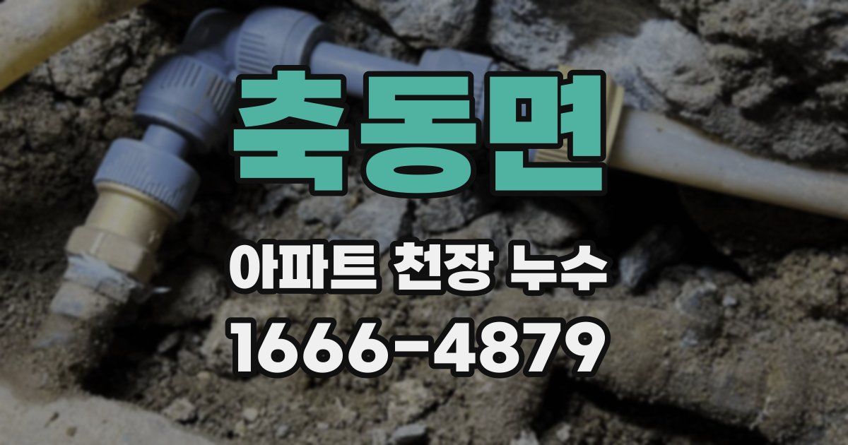 축동면 아파트 천장 누수