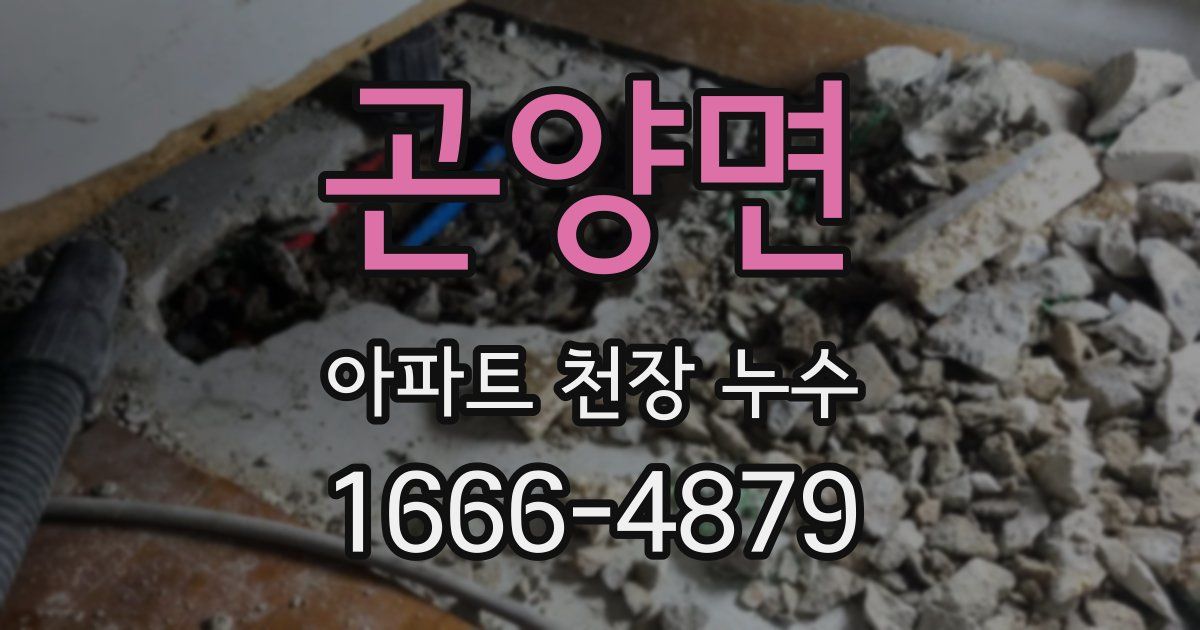 곤양면 아파트 천장 누수