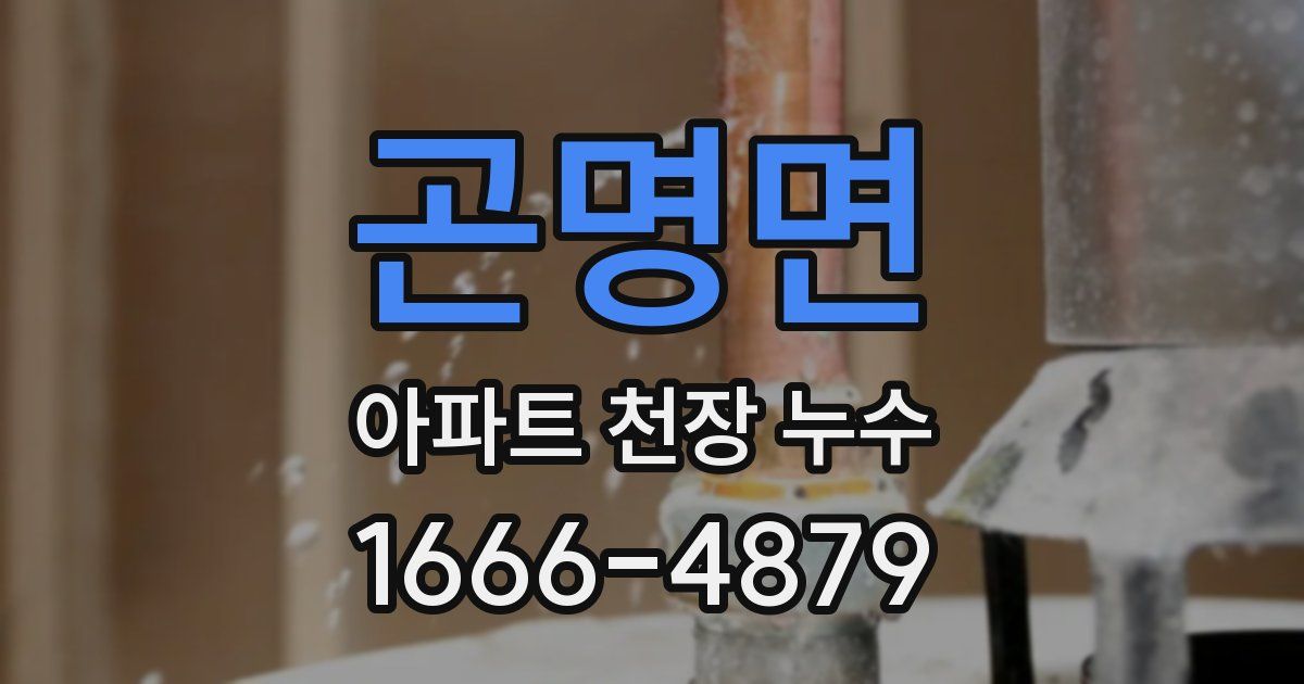 곤명면 아파트 천장 누수