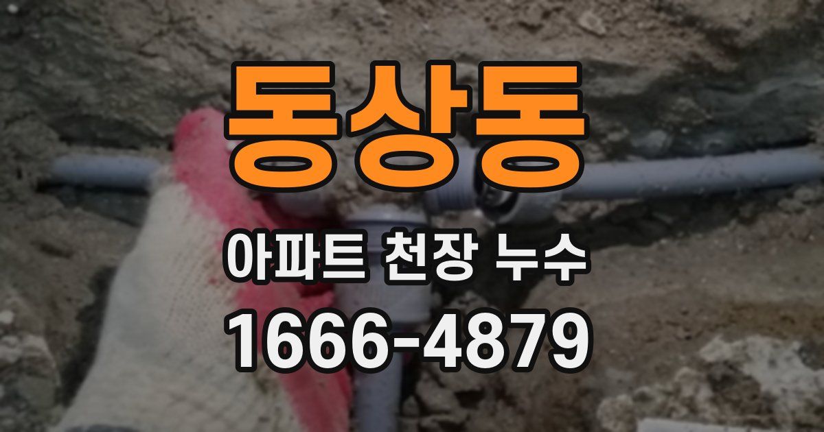 동상동 아파트 천장 누수
