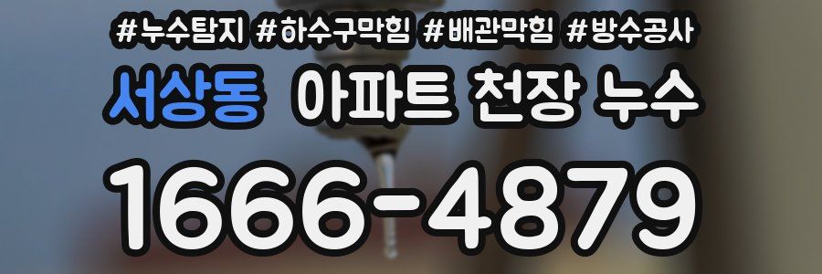 서상동 아파트 천장 누수