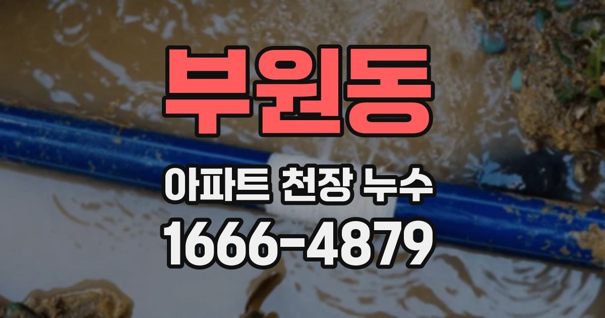 부원동 아파트 천장 누수