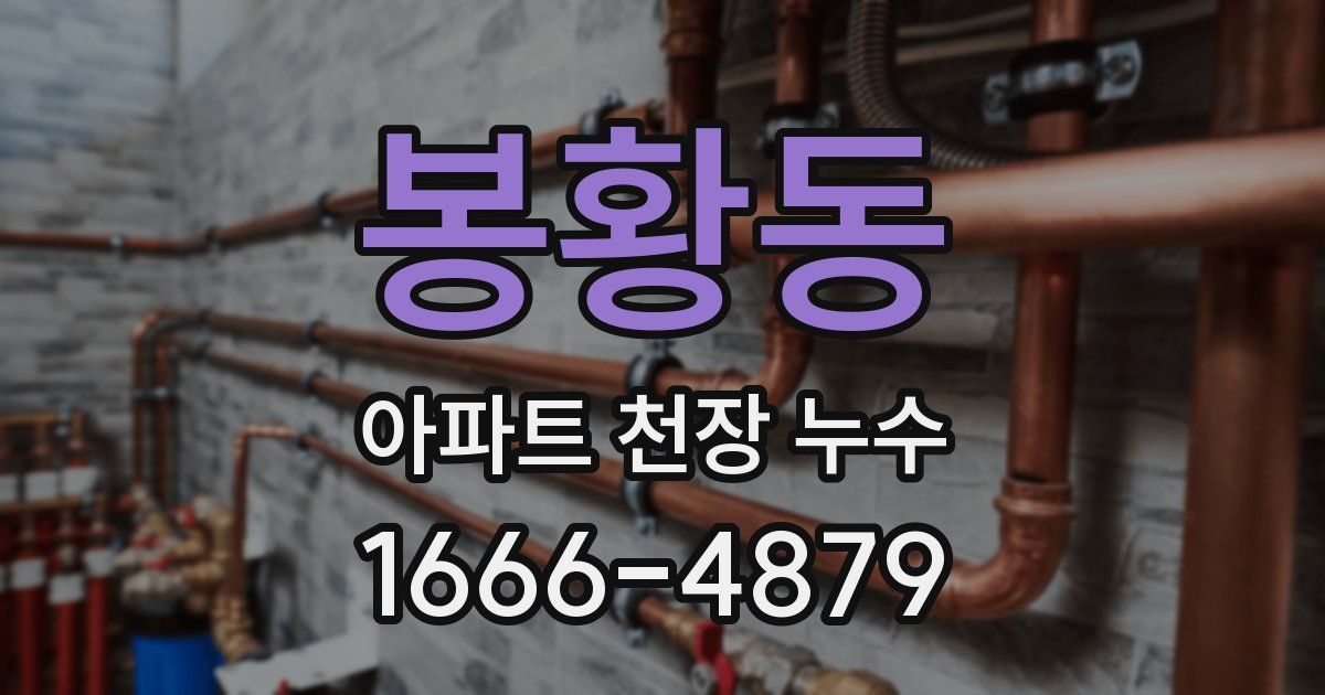 봉황동 아파트 천장 누수
