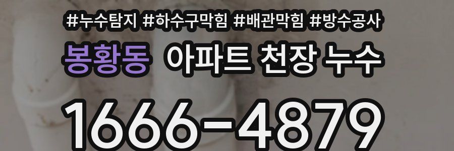 봉황동 아파트 천장 누수