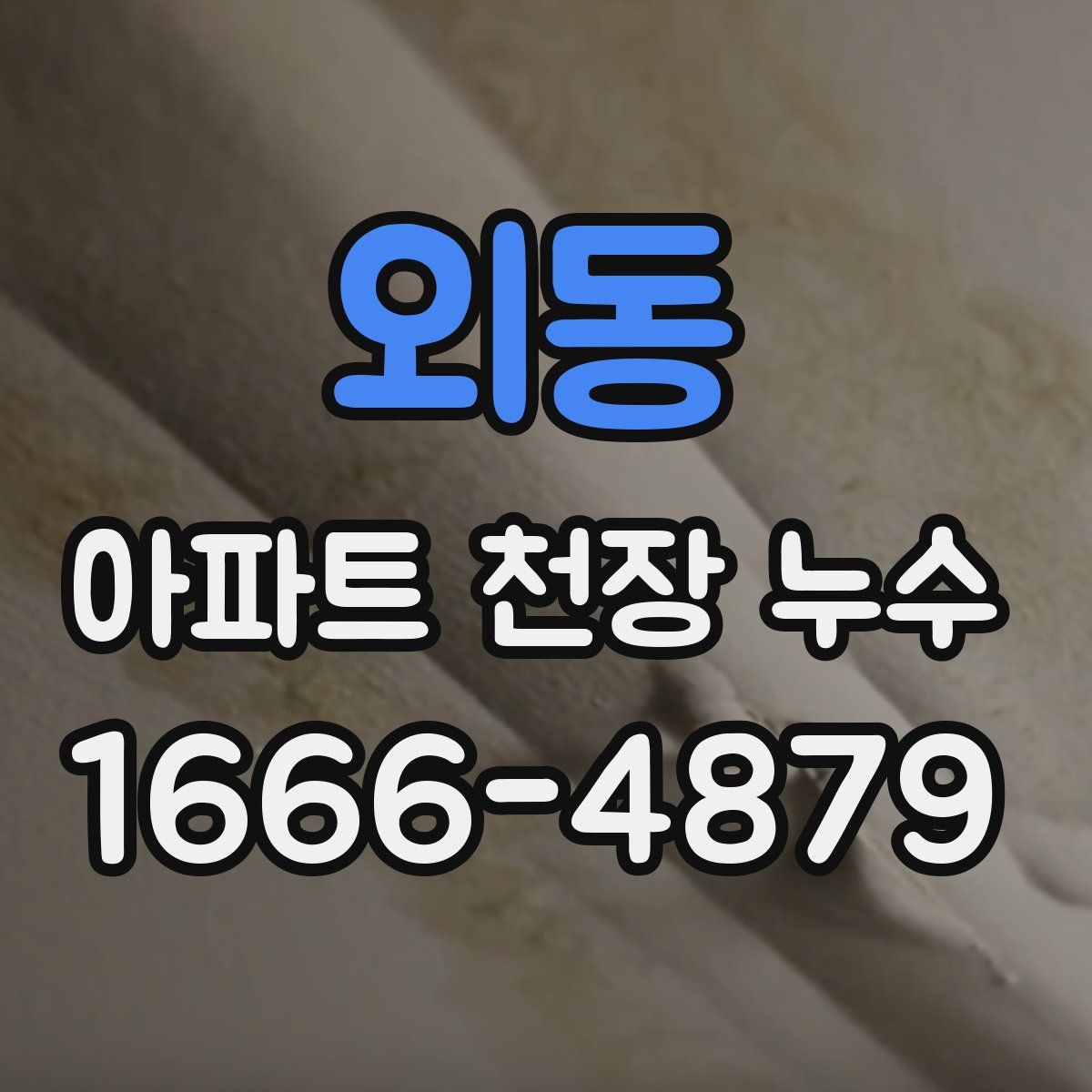 외동 아파트 천장 누수