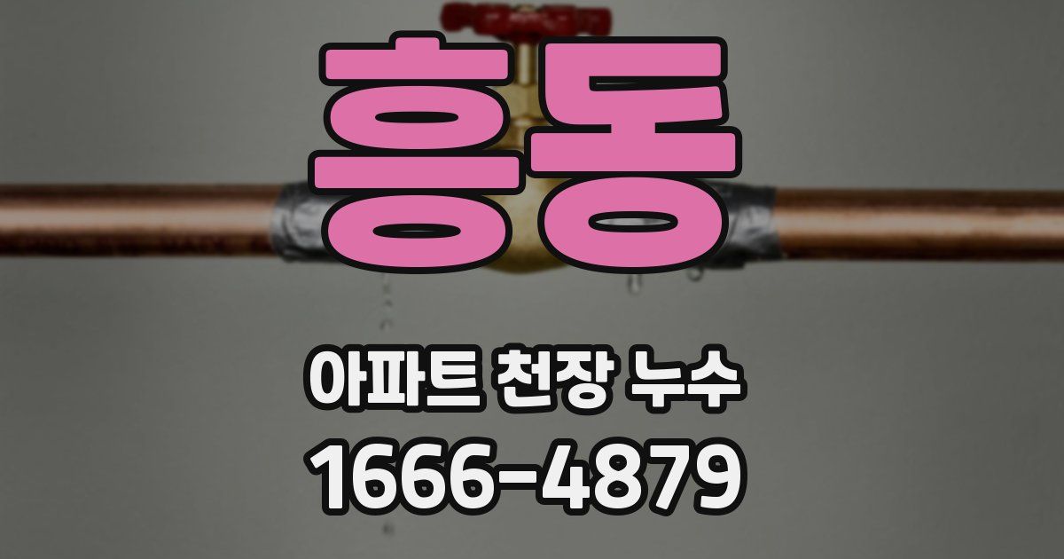 흥동 아파트 천장 누수