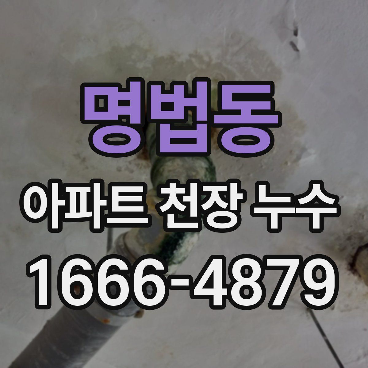 명법동 아파트 천장 누수