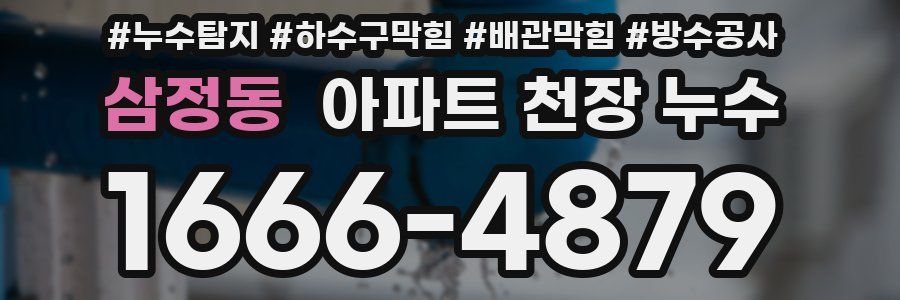 삼정동 아파트 천장 누수