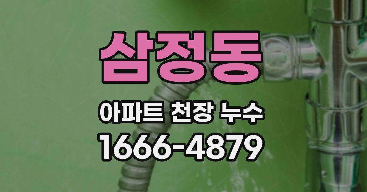 삼정동 아파트 천장 누수