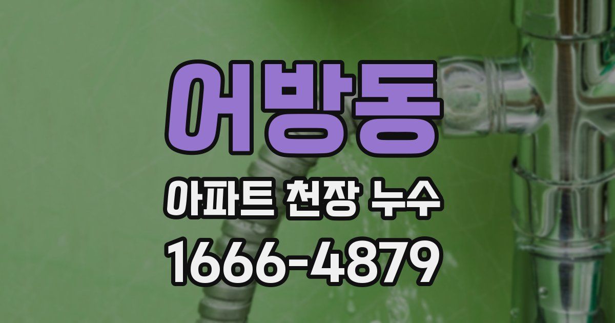 어방동 아파트 천장 누수