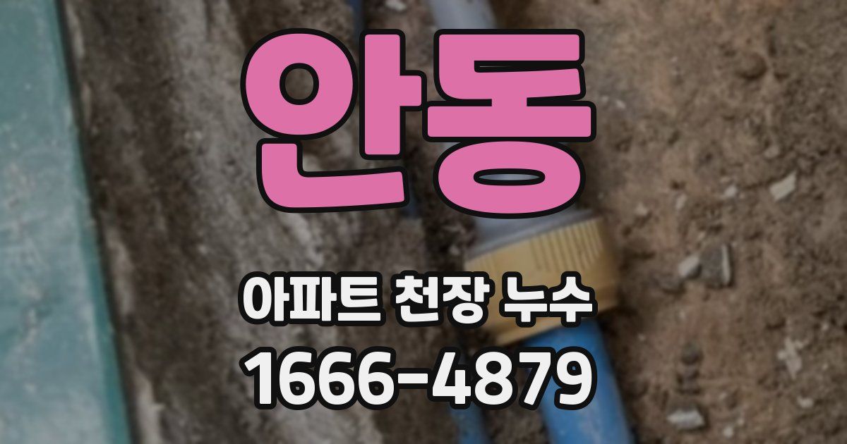 안동 아파트 천장 누수