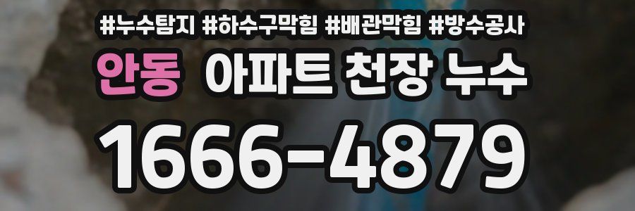 안동 아파트 천장 누수