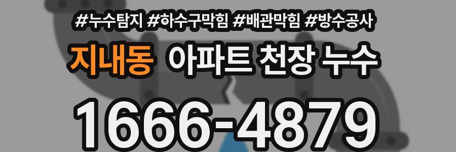 지내동 아파트 천장 누수