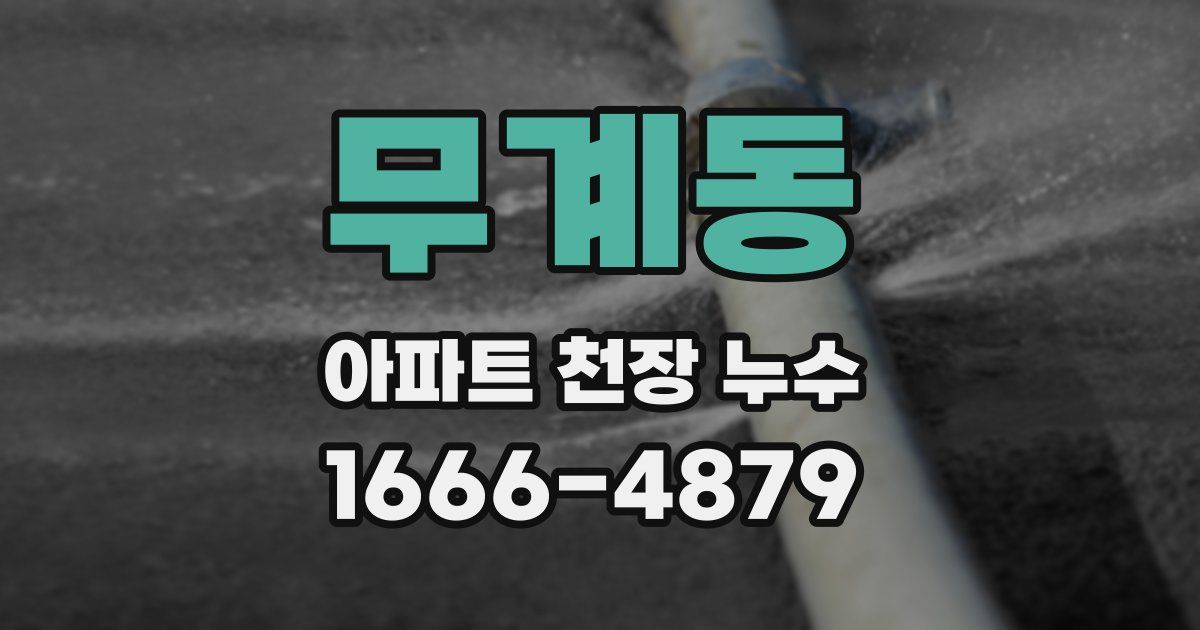 무계동 아파트 천장 누수